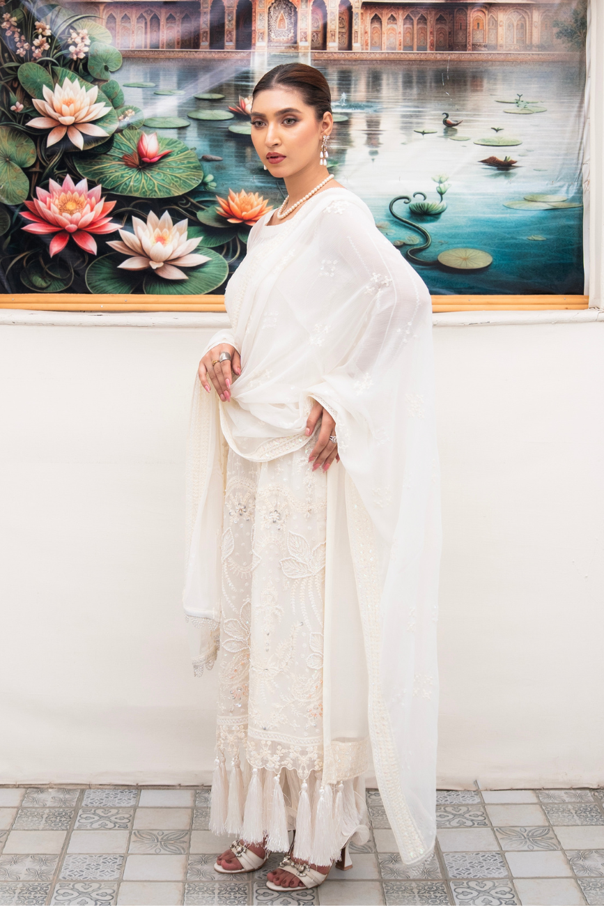 Luxury Chiffon - D 08