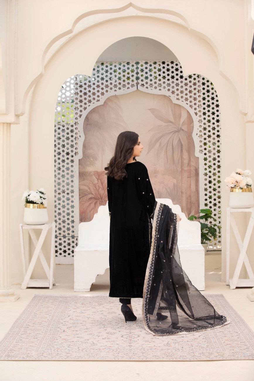 Luxury Velvet Article 101